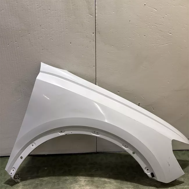 Parafango anteriore destro