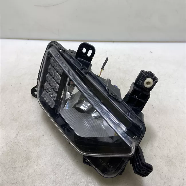 Proiettore fendinebbia sinistro con luce diurna Led