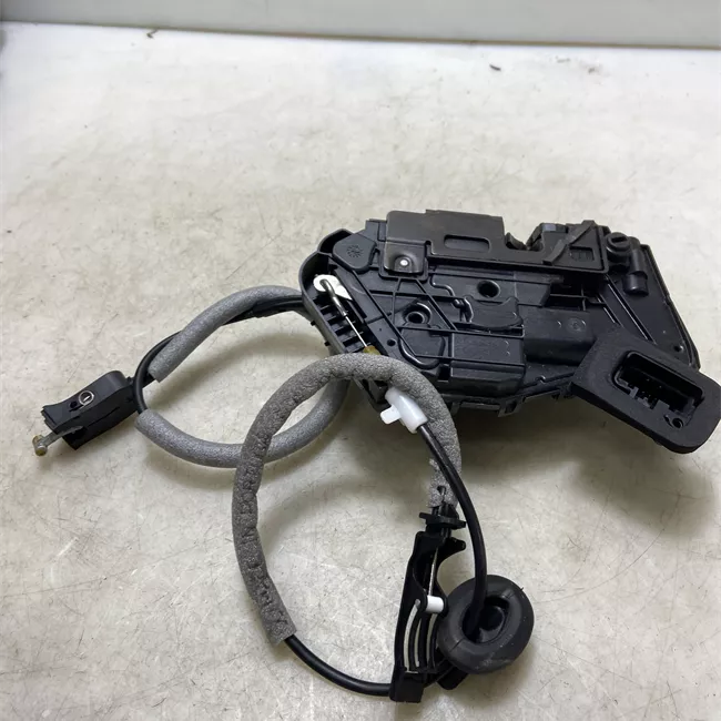 Serratura porta posteriore sinistra