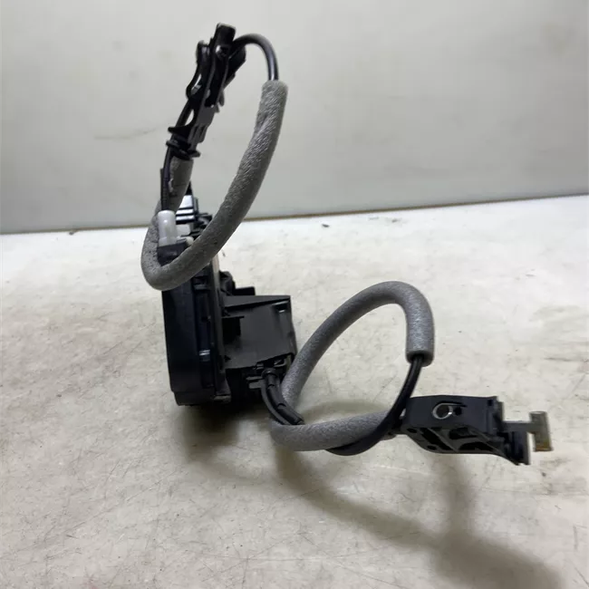 Serratura porta posteriore sinistra