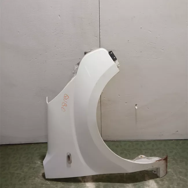 Parafango anteriore sinistro