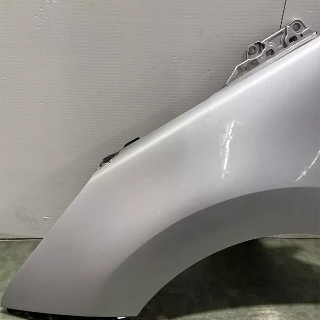 Parafango anteriore sinistro