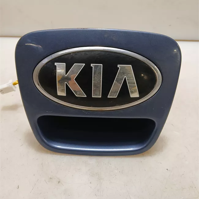 Maniglia portello posteriore primer