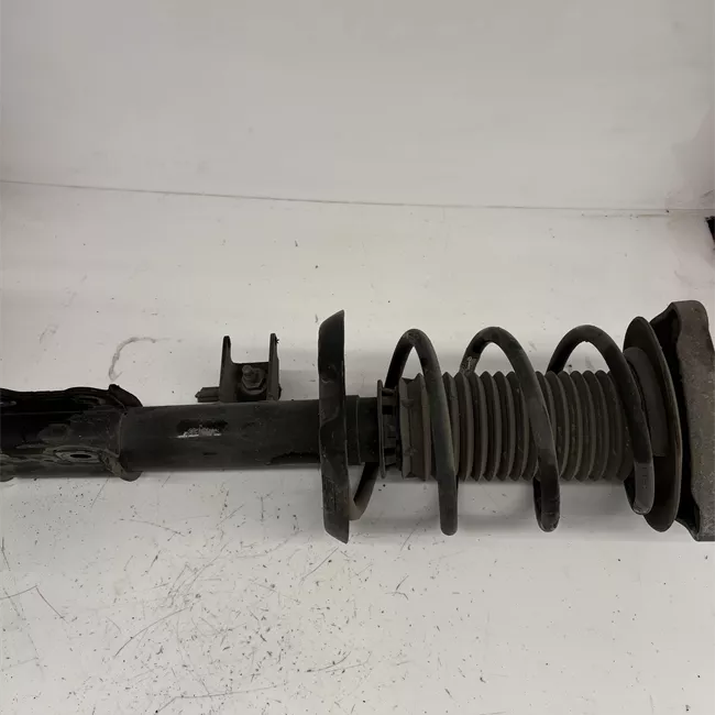 Ammortizzatore ant. .sx