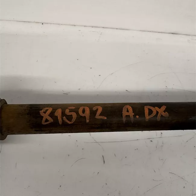 Semialbero ant. compl. .dx