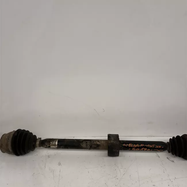 Semialbero ant. compl. .dx