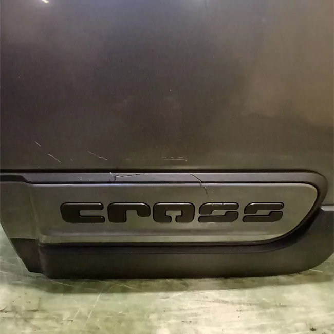 Porta posteriore sinistra