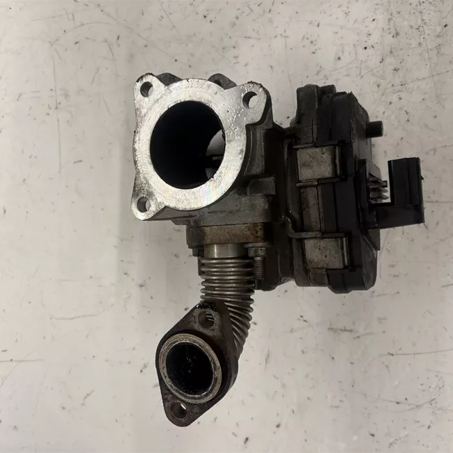 Corpo farfallato rotazionale