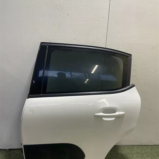 Porta posteriore sinistra modanatura