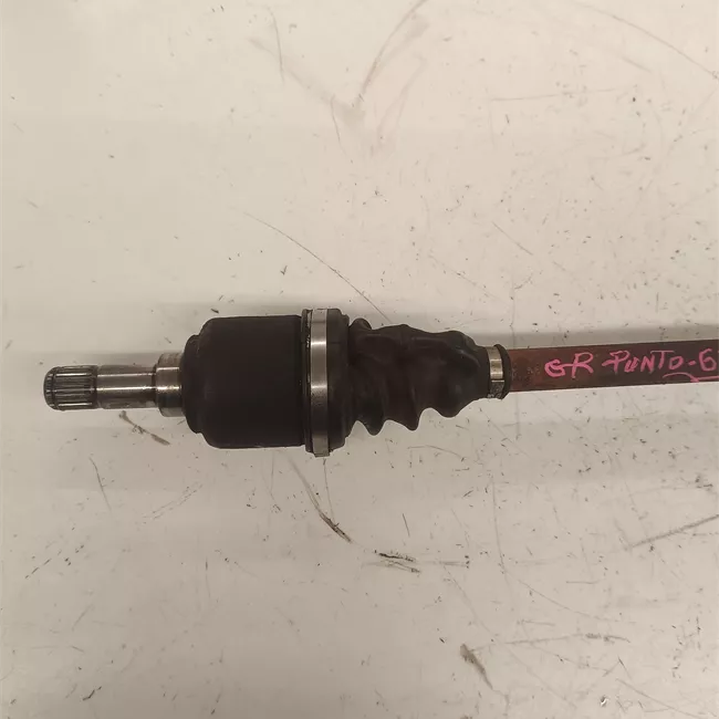 Semialbero ant. compl. .sx