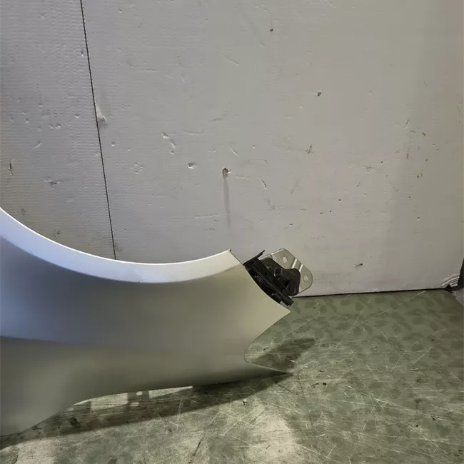 Parafango anteriore sinistro