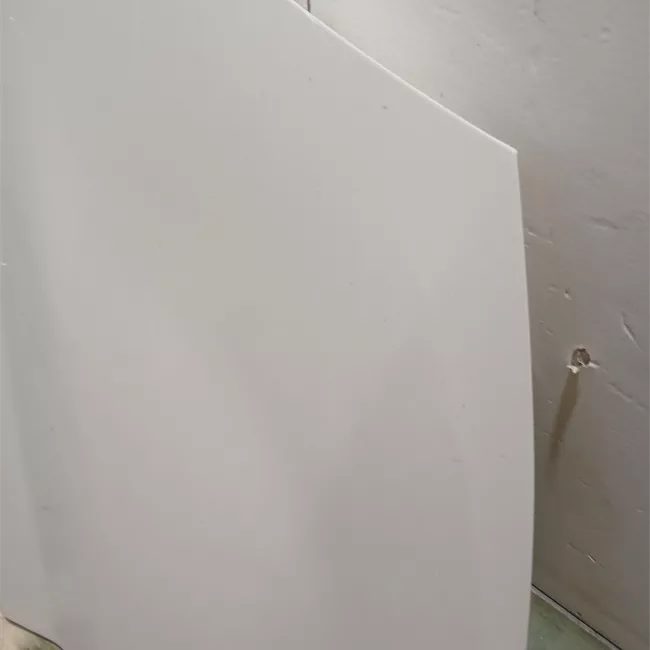 Porta posteriore sinistra