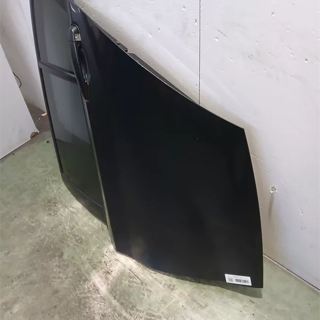 Porta posteriore sinistra