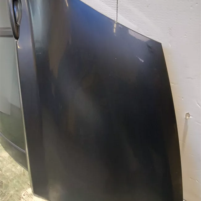 Porta posteriore sinistra