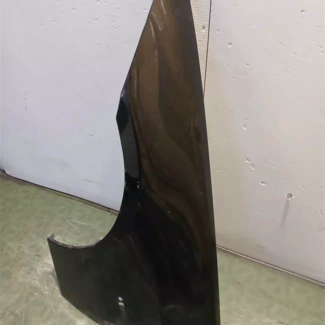 Parafango anteriore sinistro