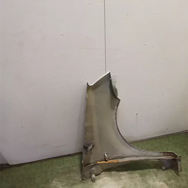 Parafango anteriore sinistro