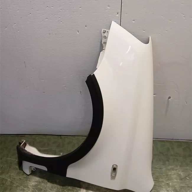 Parafango anteriore sinistro