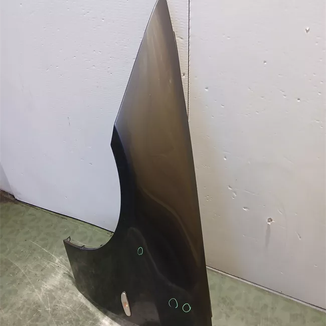 Parafango anteriore sinistro