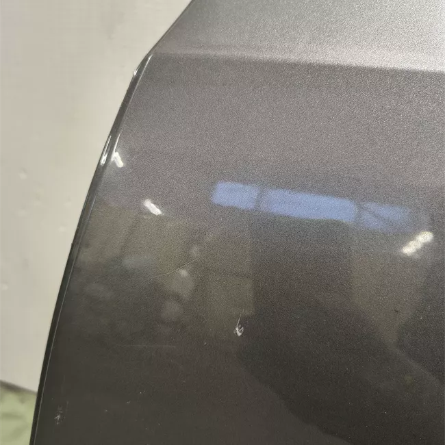 Porta posteriore sinistra