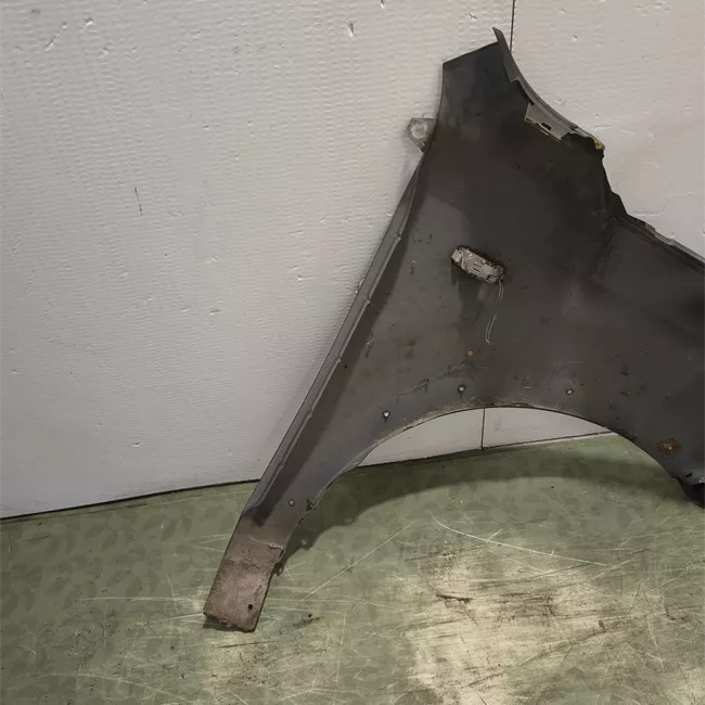 Parafango anteriore sinistro