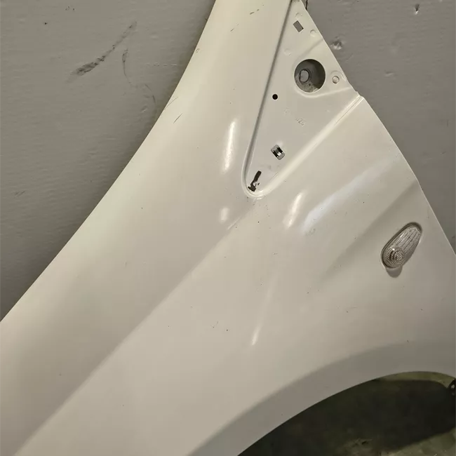 Parafango anteriore sinistro