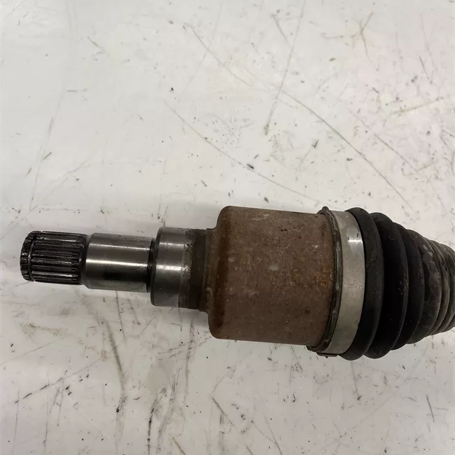 Semialbero anteriore completo sinistro