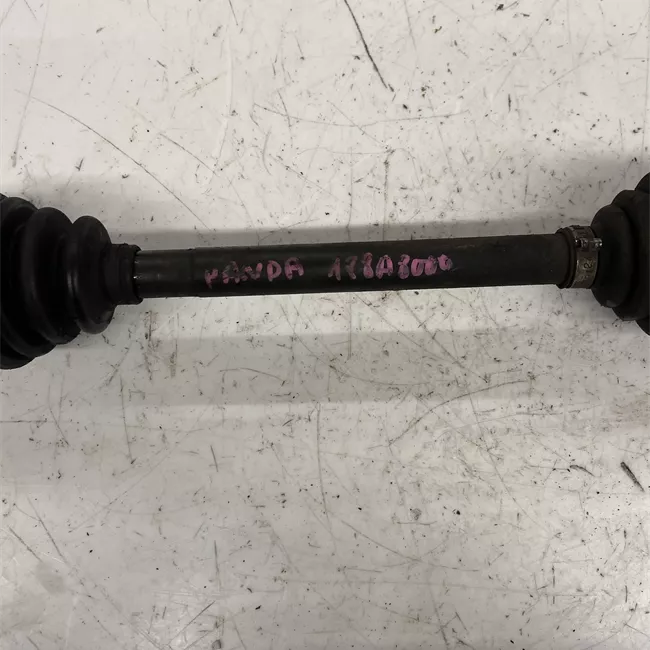 Semialbero anteriore completo sinistro