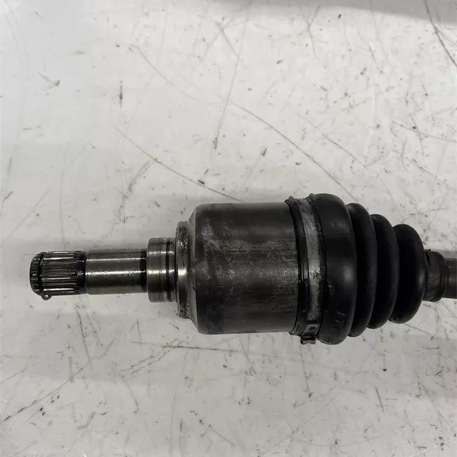 Semialbero anteriore completo sinistro