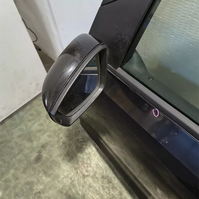 Porta anteriore sinistra