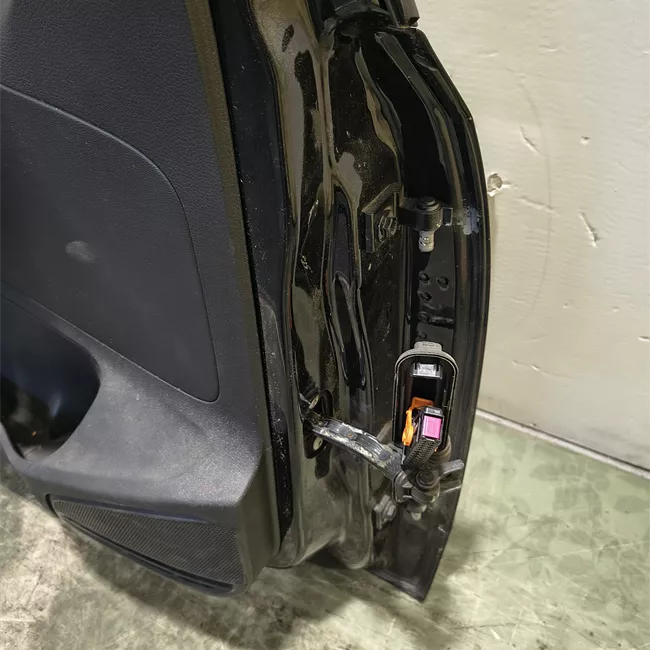 Porta anteriore sinistra