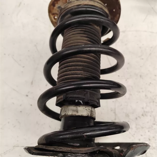 Ammortizzatore anteriore sinistro