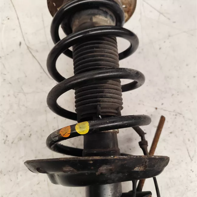 Ammortizzatore anteriore sinistro