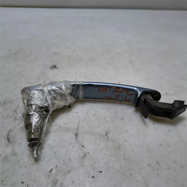 Maniglia porta anteriore sinistra primer