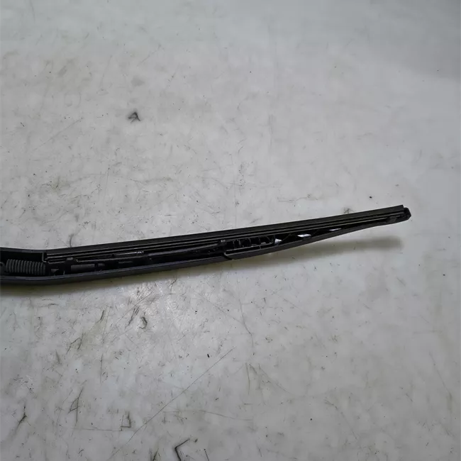 Braccio tergilunotto