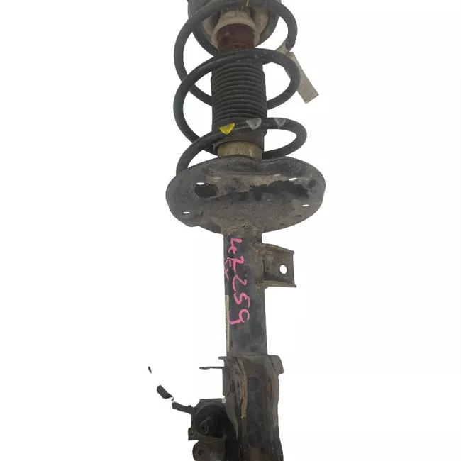 Ammortizzatore anteriore sinistro