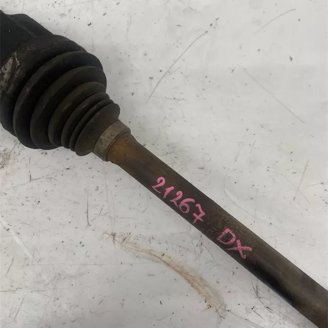 Semialbero anteriore completo destro