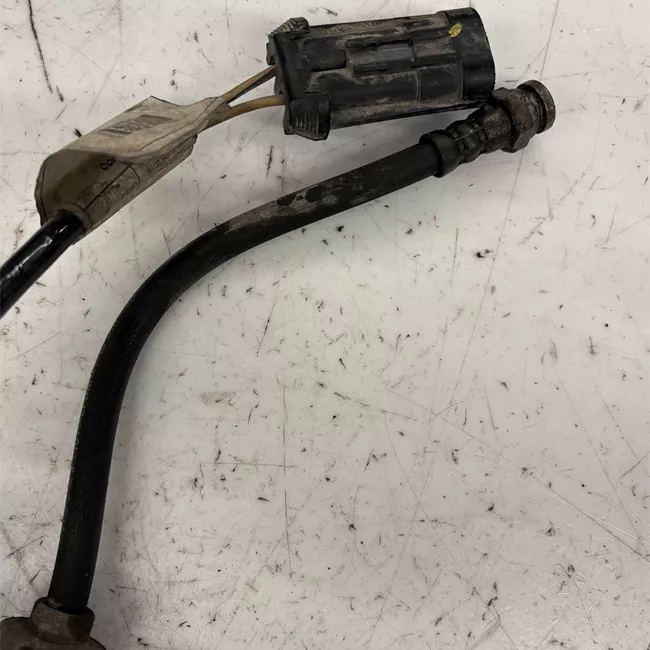 Pinza freno posteriore sinistra