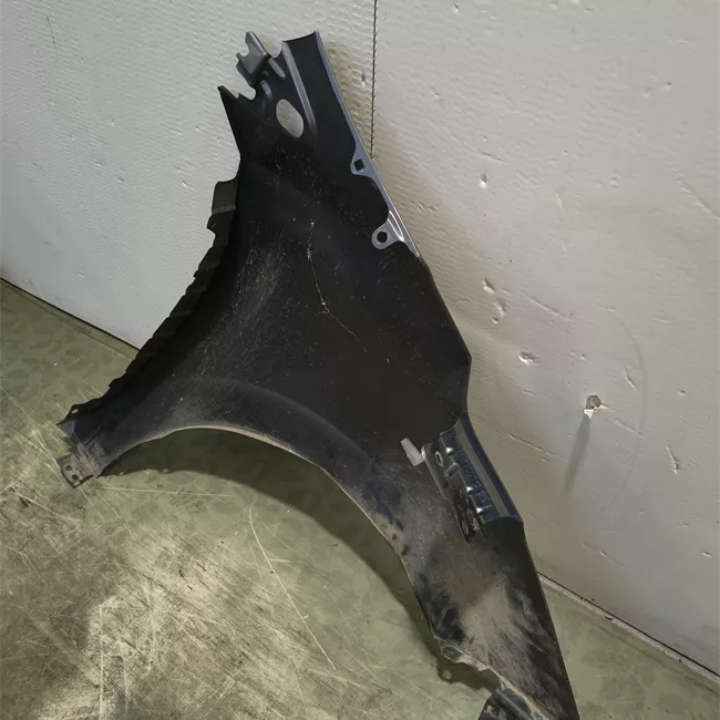 Parafango anteriore sinistro