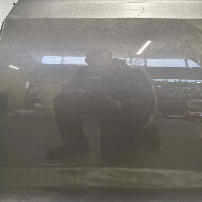 Porta posteriore sinistra