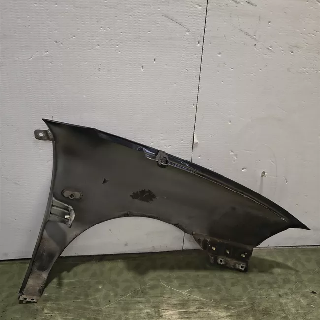 Parafango anteriore sinistro