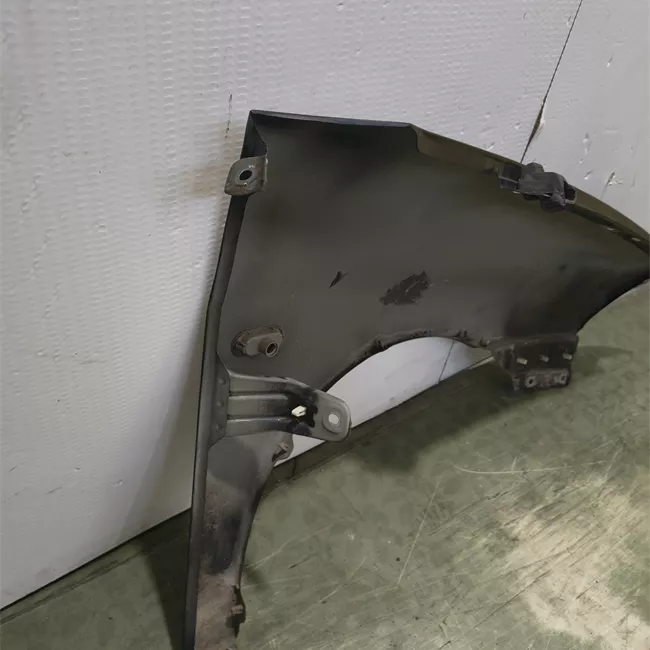 Parafango anteriore sinistro