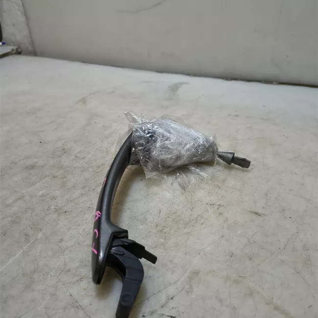 Maniglia porta anteriore sinistra primer