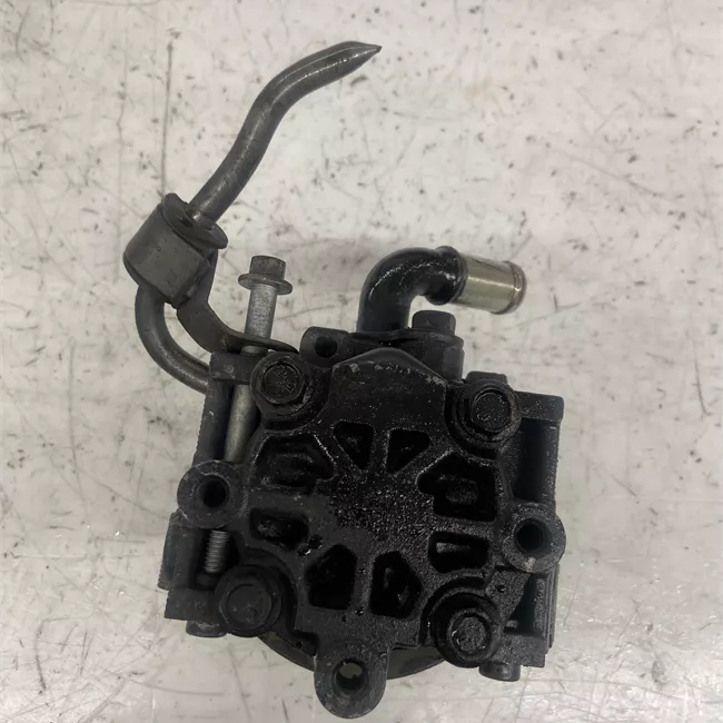 Pompa servosterzo con puleggia