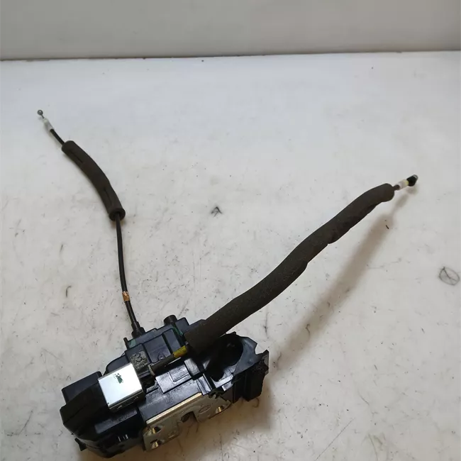 Serratura porta posteriore sinistra