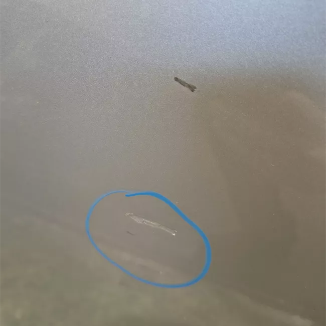 Porta posteriore sinistra