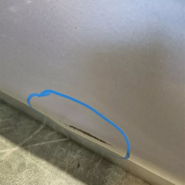 Porta posteriore sinistra