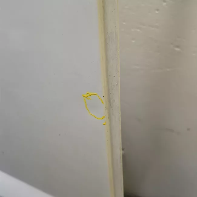 Porta posteriore destra