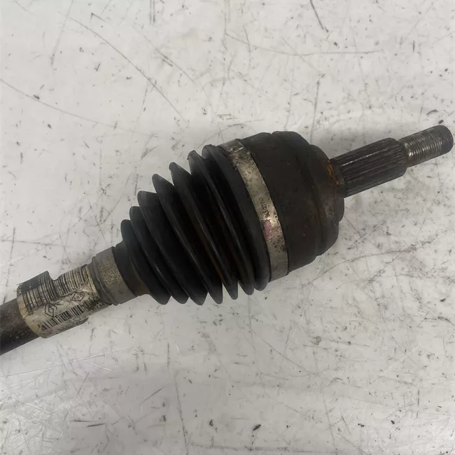 Semialbero anteriore completo sinistro