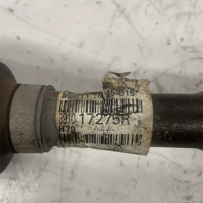 Semialbero anteriore completo sinistro