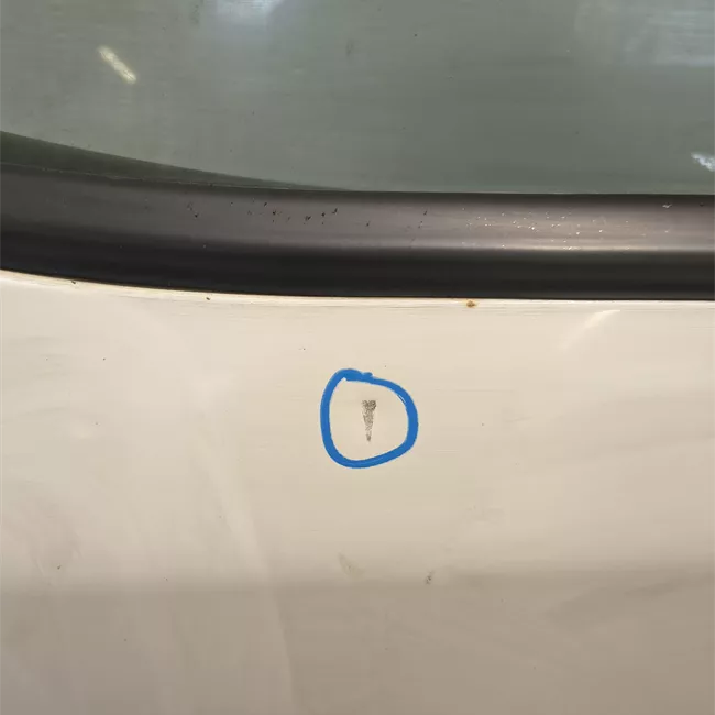 Porta anteriore sinistra